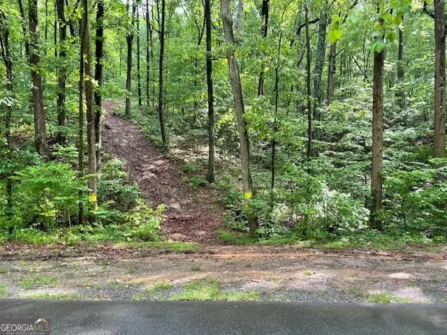 0 E Price Creek Road, Jasper, GA 30143 - Image #1