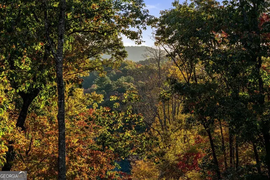 184 High Meadows Court, Morganton, GA 30560 - Image #3