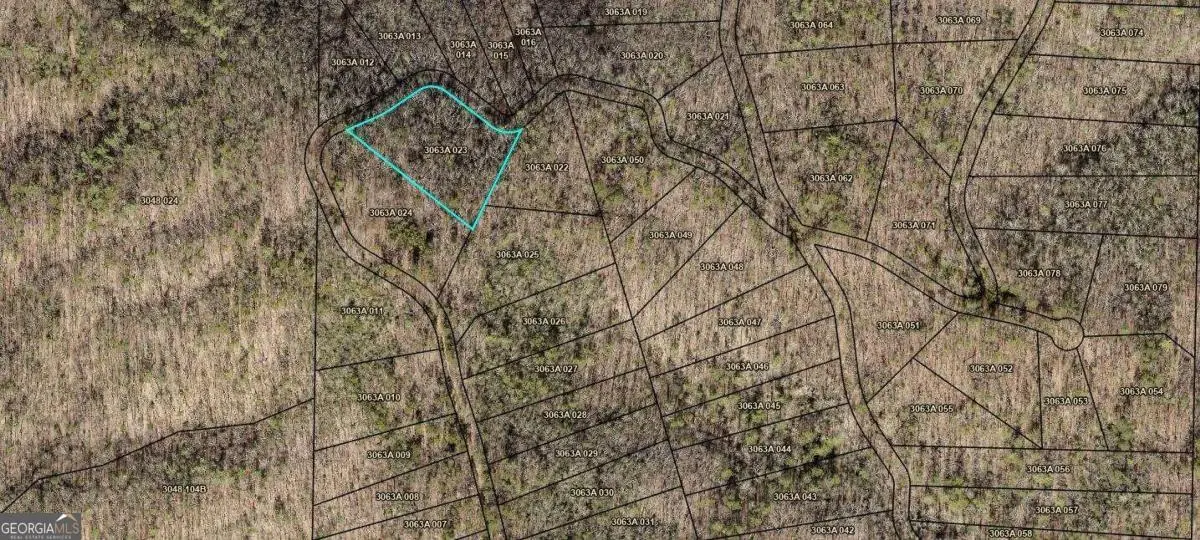 0 Whisenant Mountain Road, Ellijay, GA 30540 - Image #1