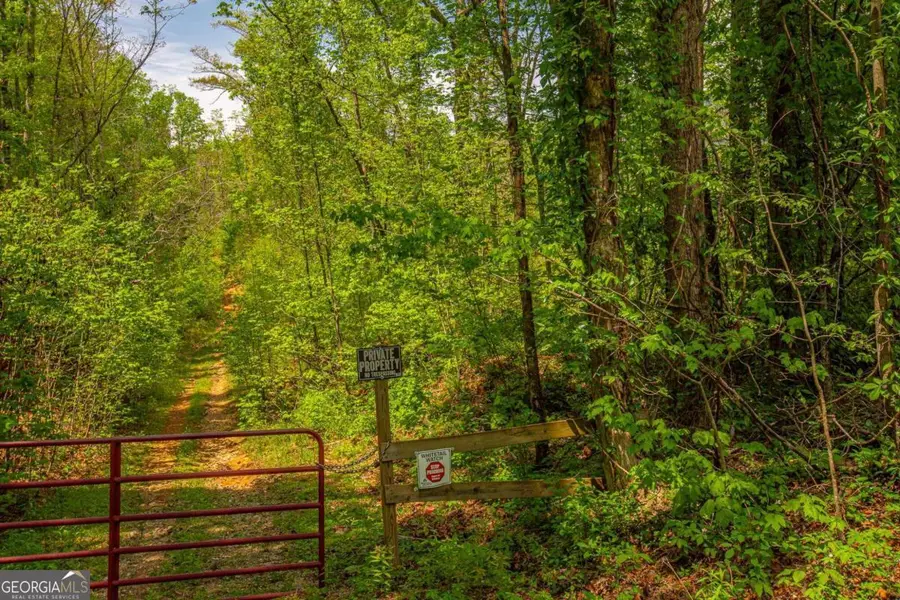 0 Antioch Valley Road Trct 1, Dawsonville, GA 30534 - Image #2