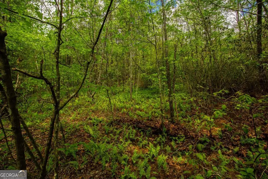 0 Antioch Valley Road Trct 1, Dawsonville, GA 30534 - Image #3