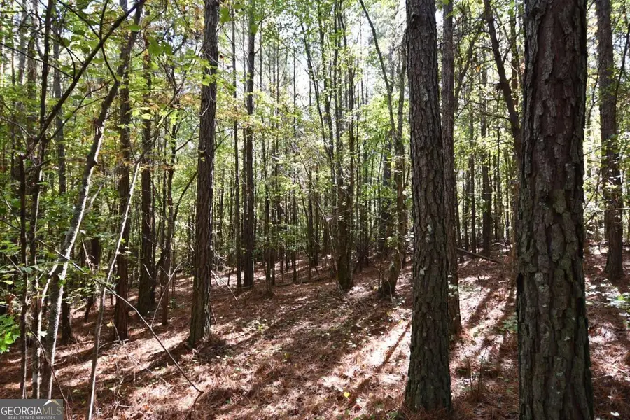 00001 Poplar Springs Road, Buchanan, GA 30113 - Image #2