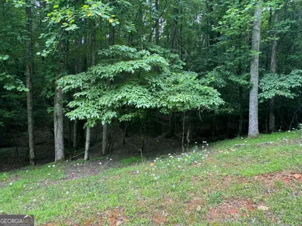 LOT 1721 Newport Drive, Ellijay, GA 30540