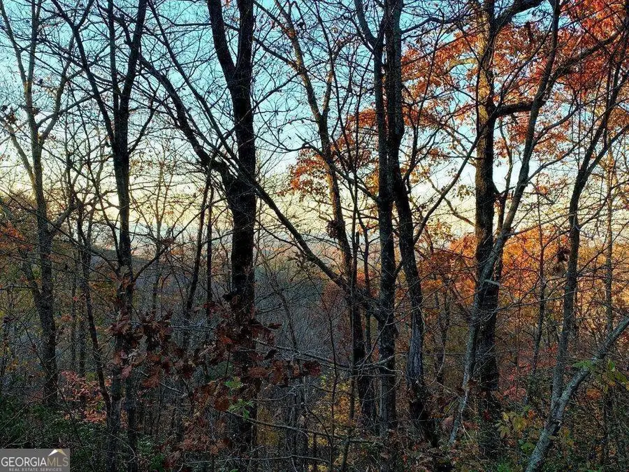 249 Owl Ridge Way, Jasper, GA 30143 - Image #3