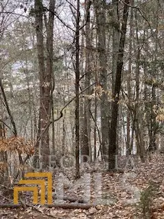#2