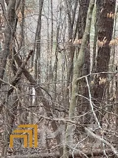 #3