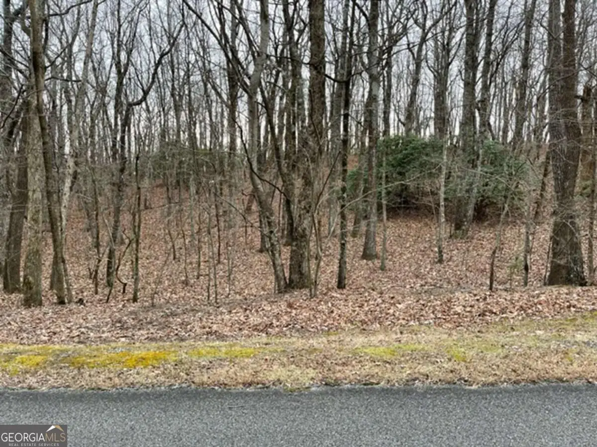 184 St Andrews Way, Ellijay, GA 30536 - Image #1