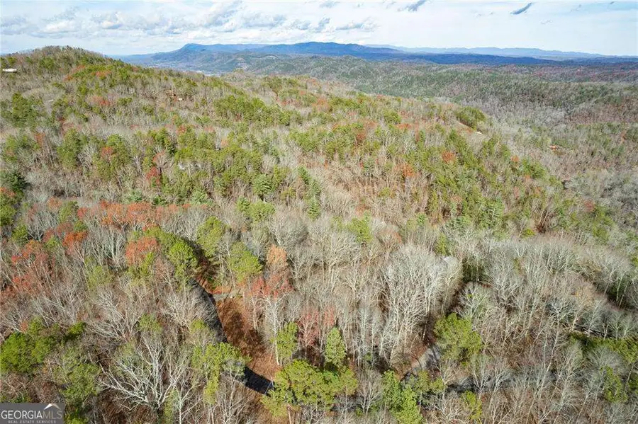 533 Marque Lane Ne, Ranger, GA 30734 - Image #3