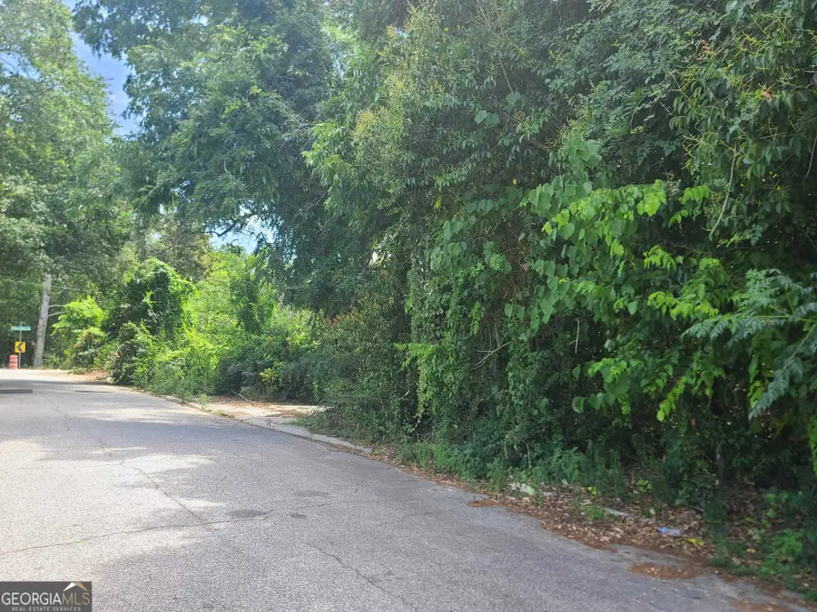 4187 Buena Vista Avenue, Macon, GA 31206 - Image #3