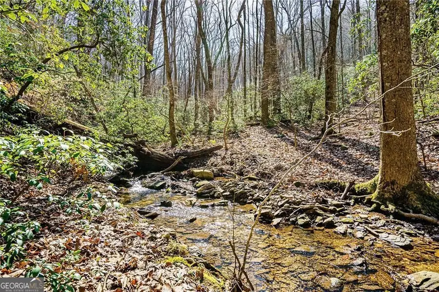 0 Westview Drive, Jasper, GA 30143 - Image #3