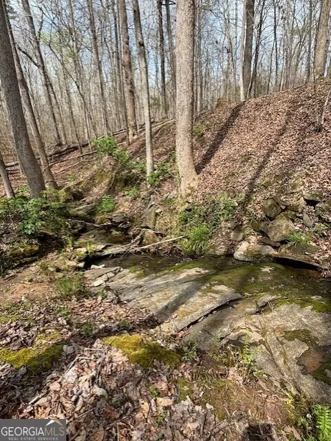 0 SW East Fairview Road, Stockbridge, GA 30281