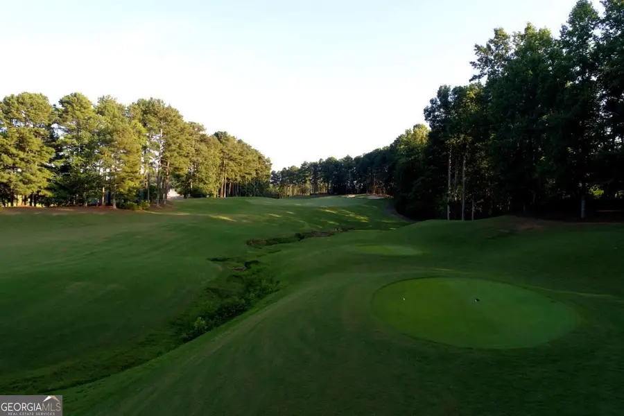 130 Talon Way, Ball Ground, GA 30107 - Image #2