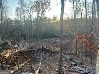 #3