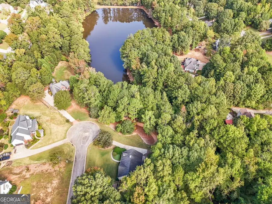 234 Hampton Shores Drive, Hampton, GA 30228 - Image #3