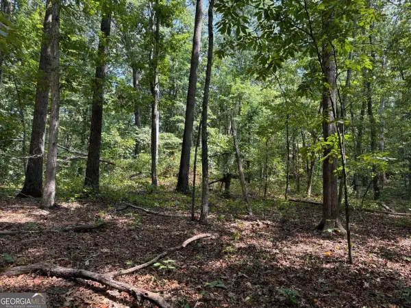 348 A Pat Rich Drive, Canton, GA 30115