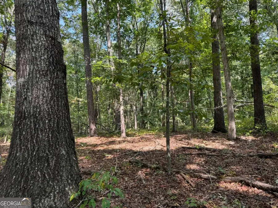 348 A Pat Rich Drive, Canton, GA 30115 - Image #2