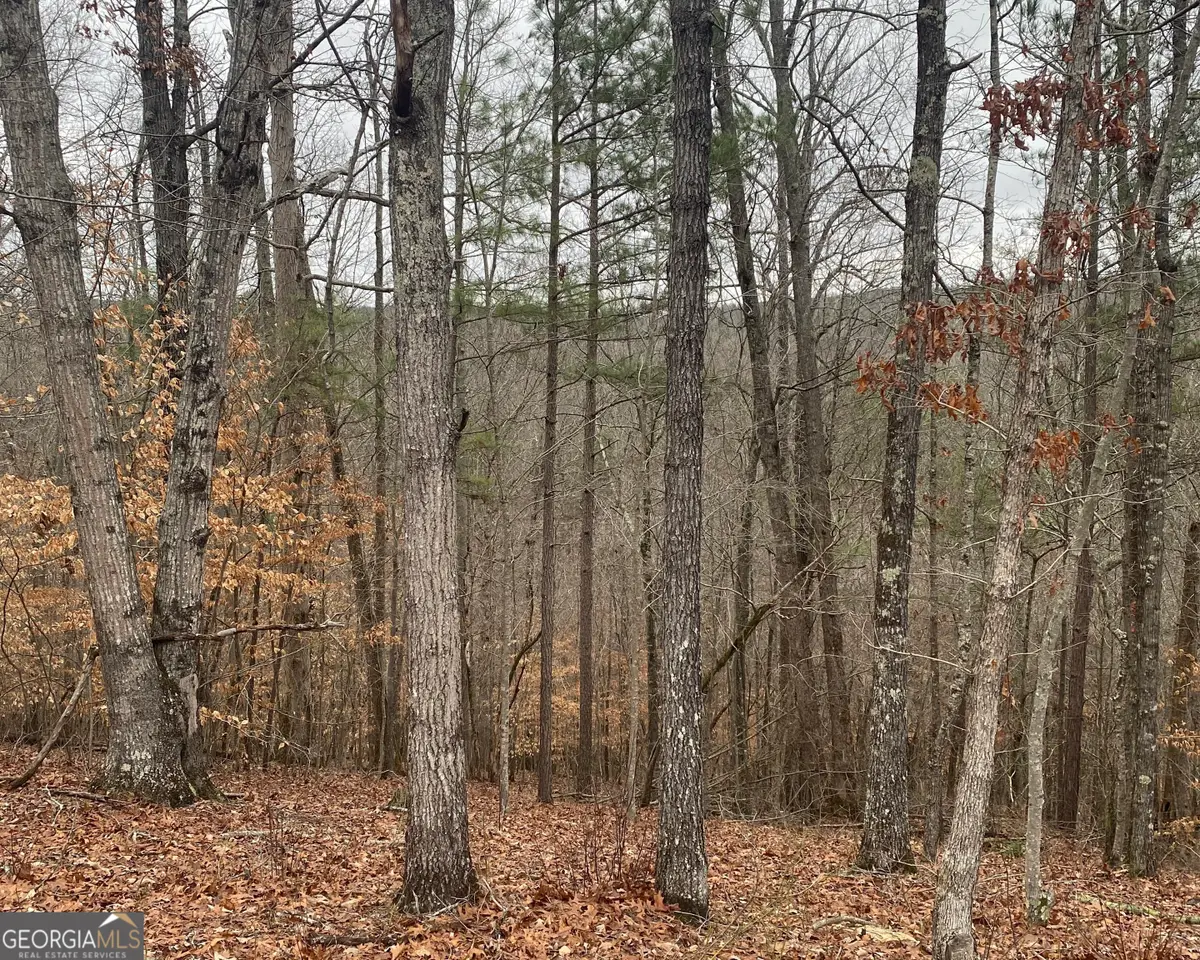 0 Crayfish Place, Talking Rock, GA 30175 - Image #1