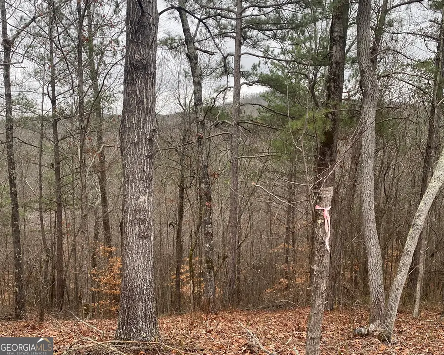 0 Crayfish Place, Talking Rock, GA 30175 - Image #2