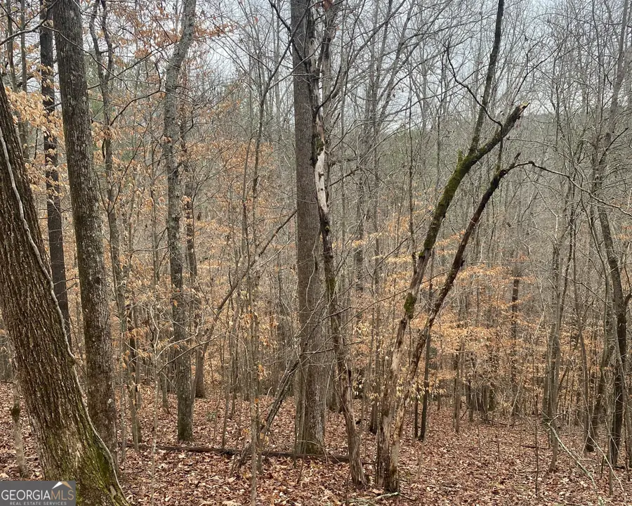 0 Crayfish Place, Talking Rock, GA 30175 - Image #3