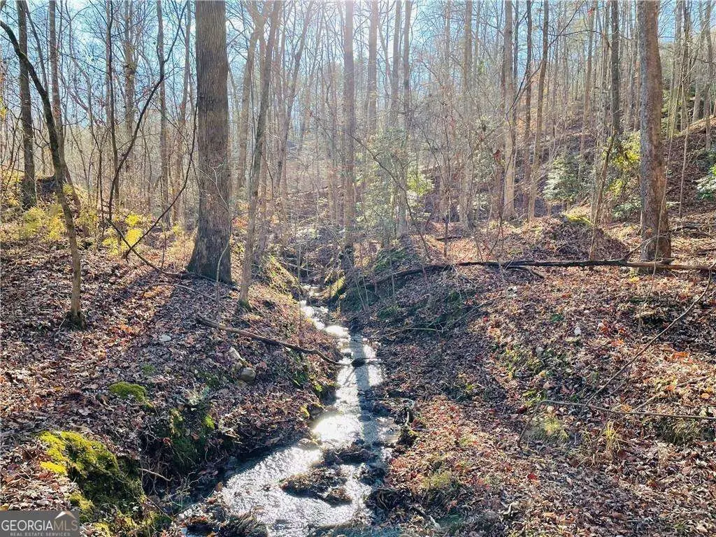 49 Old Stamp Mill Road, Dahlonega, GA 30533 - Image #1