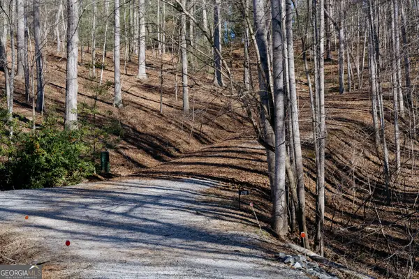 0 Casa Rio Drive, Cornelia, GA 30531