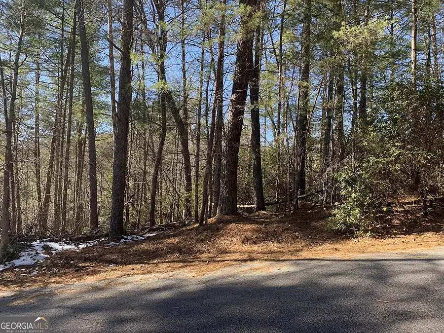 0 Pinecrest Road, Sautee Nacoochee, GA 30571 - Image #3