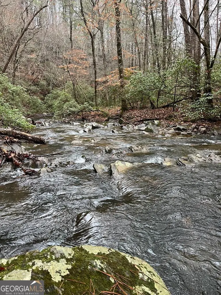 1551 Dorian Court, Ranger, GA 30734 - Image #1