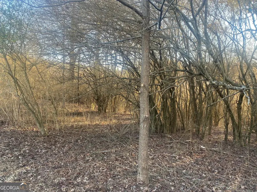 394 Sweetgrass Drive, Demorest, GA 30535 - Image #2