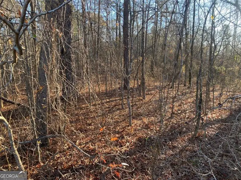 15 Dial Road, Monroe, GA 30655 - Image #3