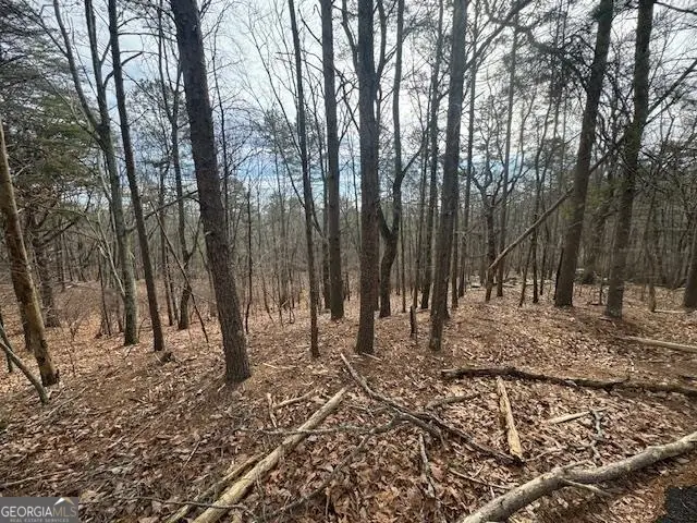 117 Leopard Court, Waleska, GA 30183 - Image #1