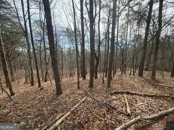 117 Leopard Court, Waleska, GA 30183