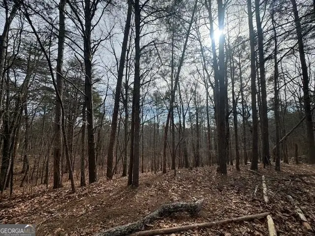 117 Leopard Court, Waleska, GA 30183 - Image #3