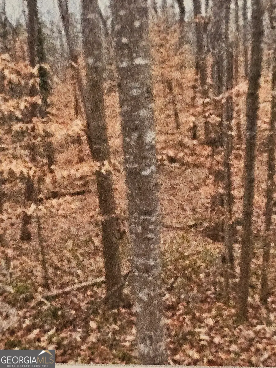 #2