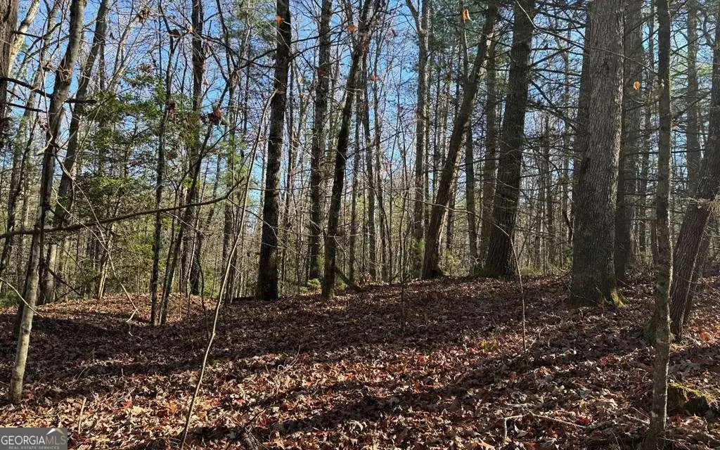 0 Mill Creek Acres, Blue Ridge, GA 30513 - Image #1