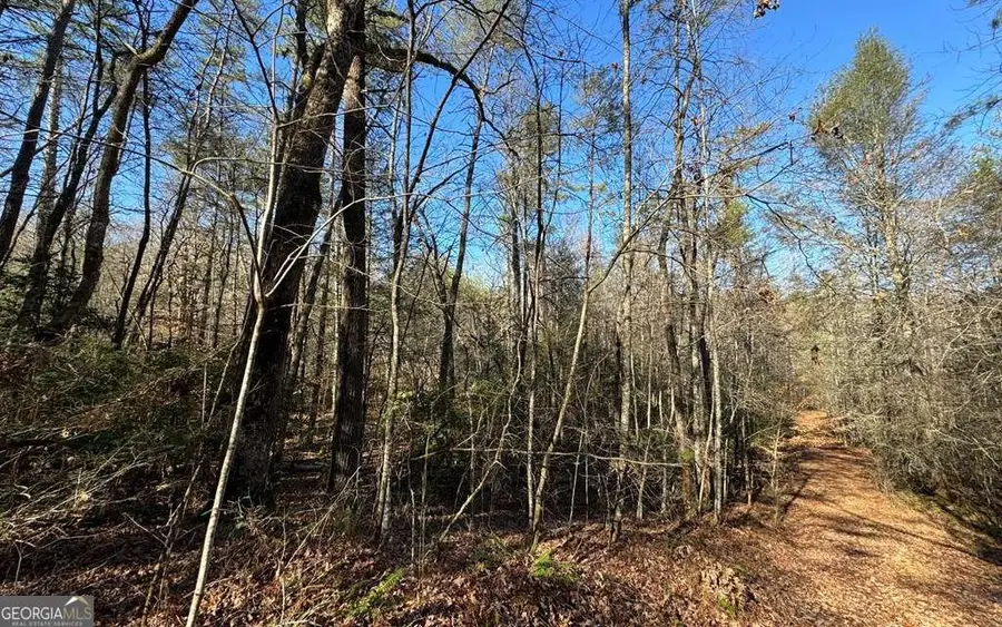 0 Mill Creek Acres, Blue Ridge, GA 30513 - Image #3