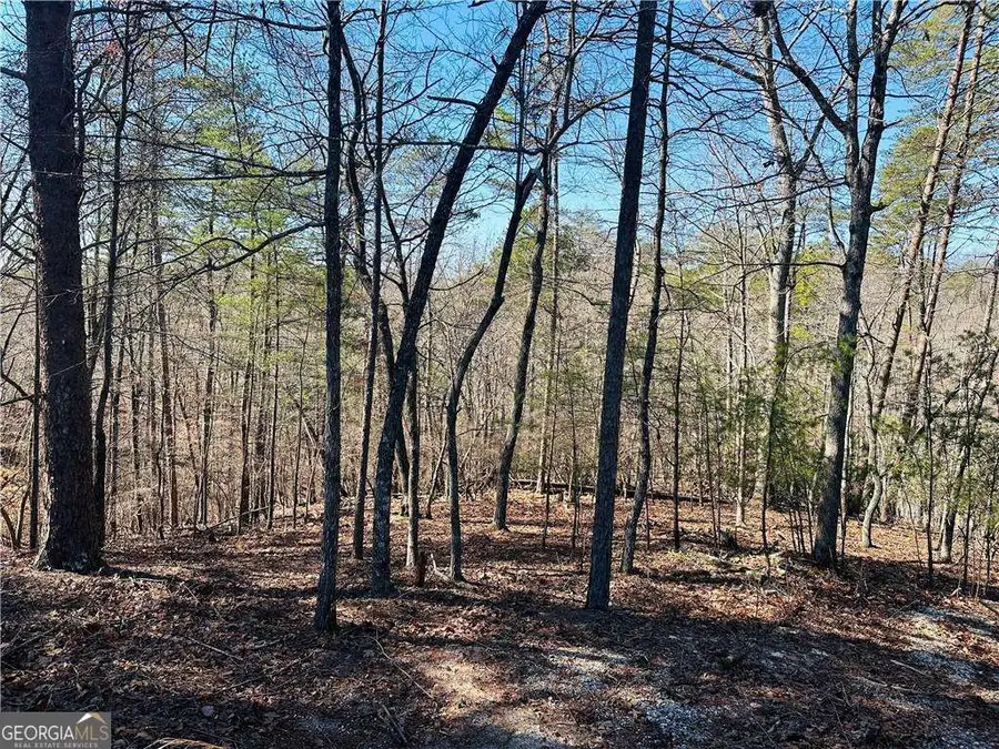 LOT 20 Crown Mountain Way, Dahlonega, GA 30533 - #2