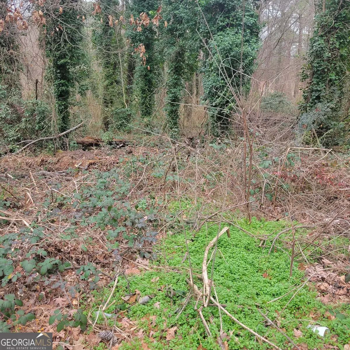 4682 Pine Circle, Ellenwood, GA 30294 - Image #1