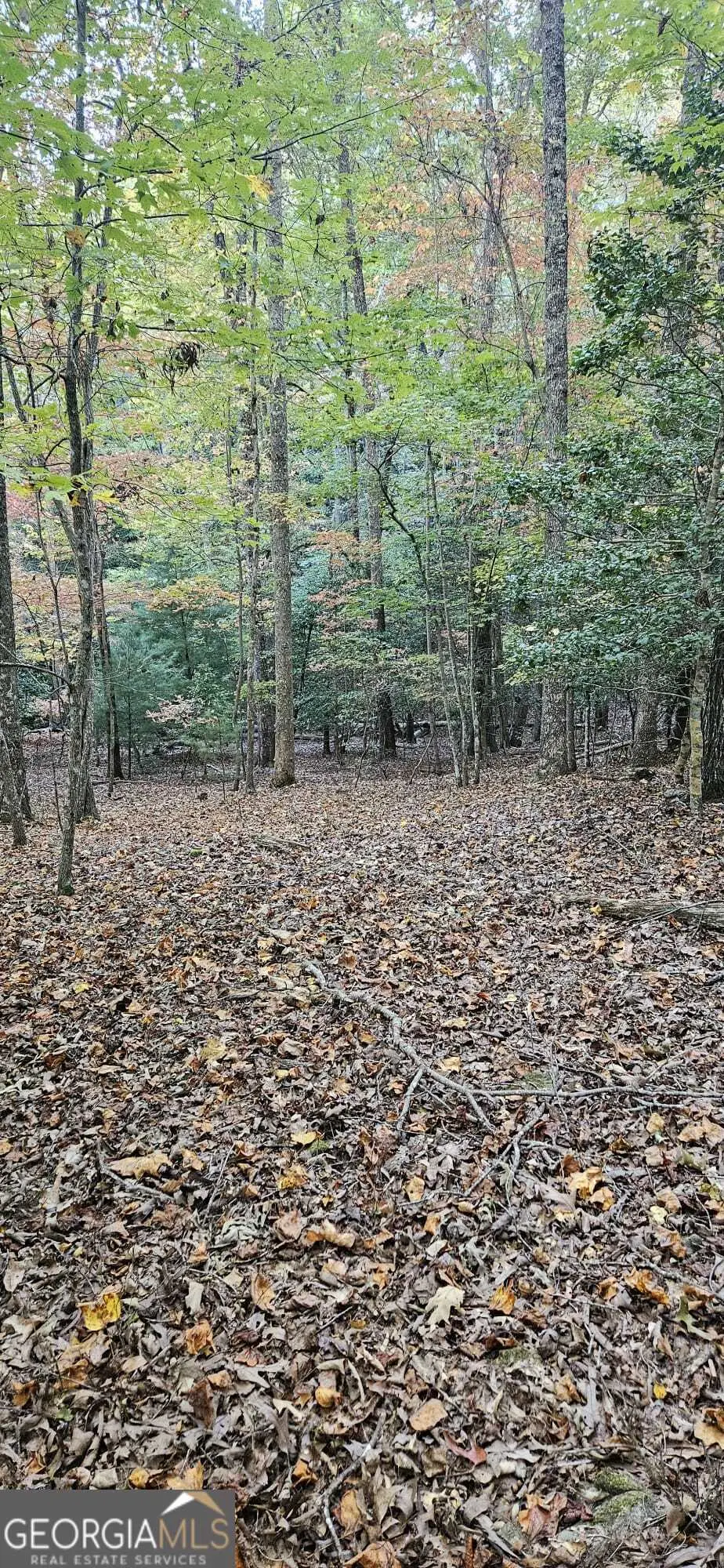 5 Goldmine Road #LOT 5, Morganton, GA 30560 - Image #1