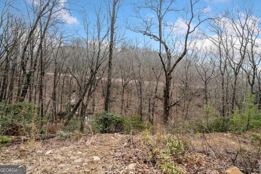 0 Big Oak Drive, Jasper, GA 30143 - Image #3