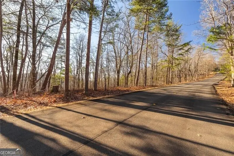 0 Outback Ridge Trail, Jasper, GA 30143 - Image #2