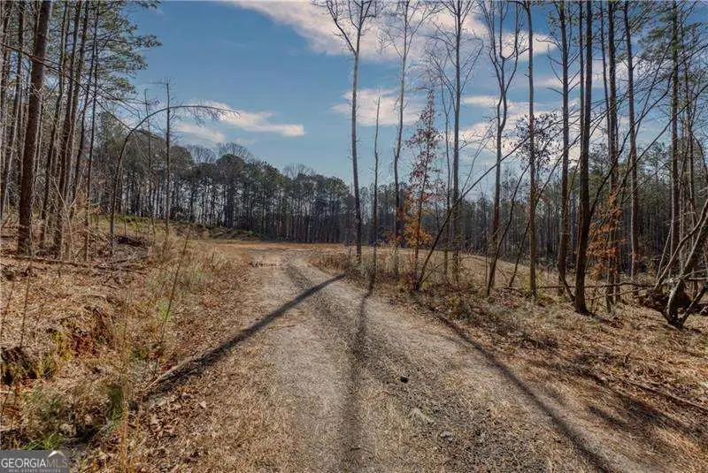 0 Avery Road, Canton, GA 30115 - Image #3