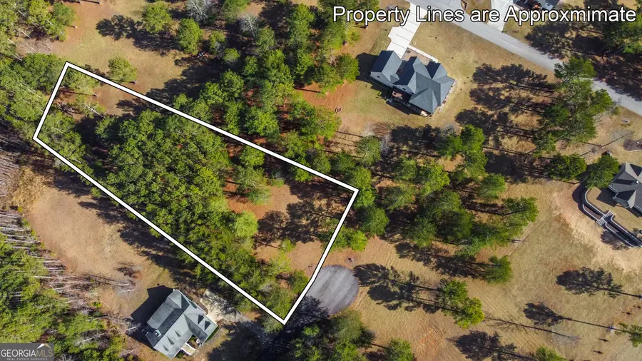 LOT 87 The Sanctuary, Blairsville, GA 30512 - Image #3