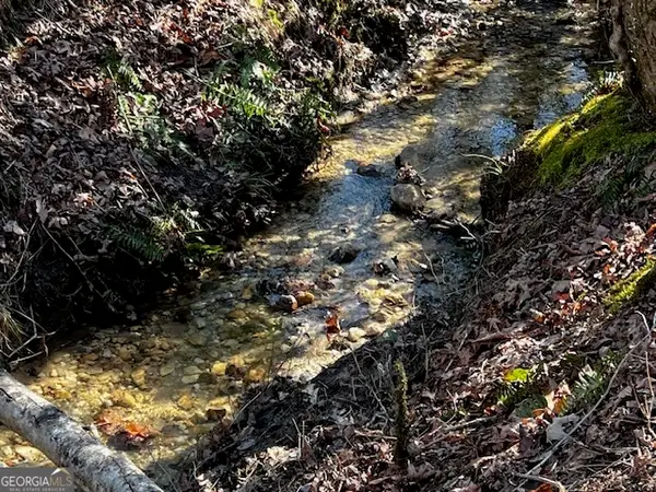 1200 Roy Powers Road, Cleveland, GA 30528