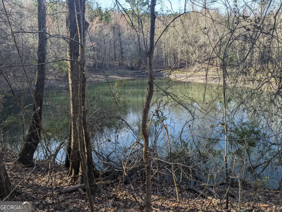 0 Parker Road, Dry Branch, GA 31020 - Image #1