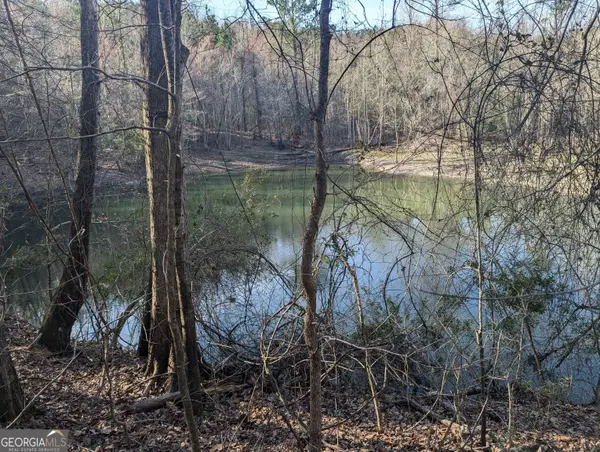 0 Parker Road, Dry Branch, GA 31020