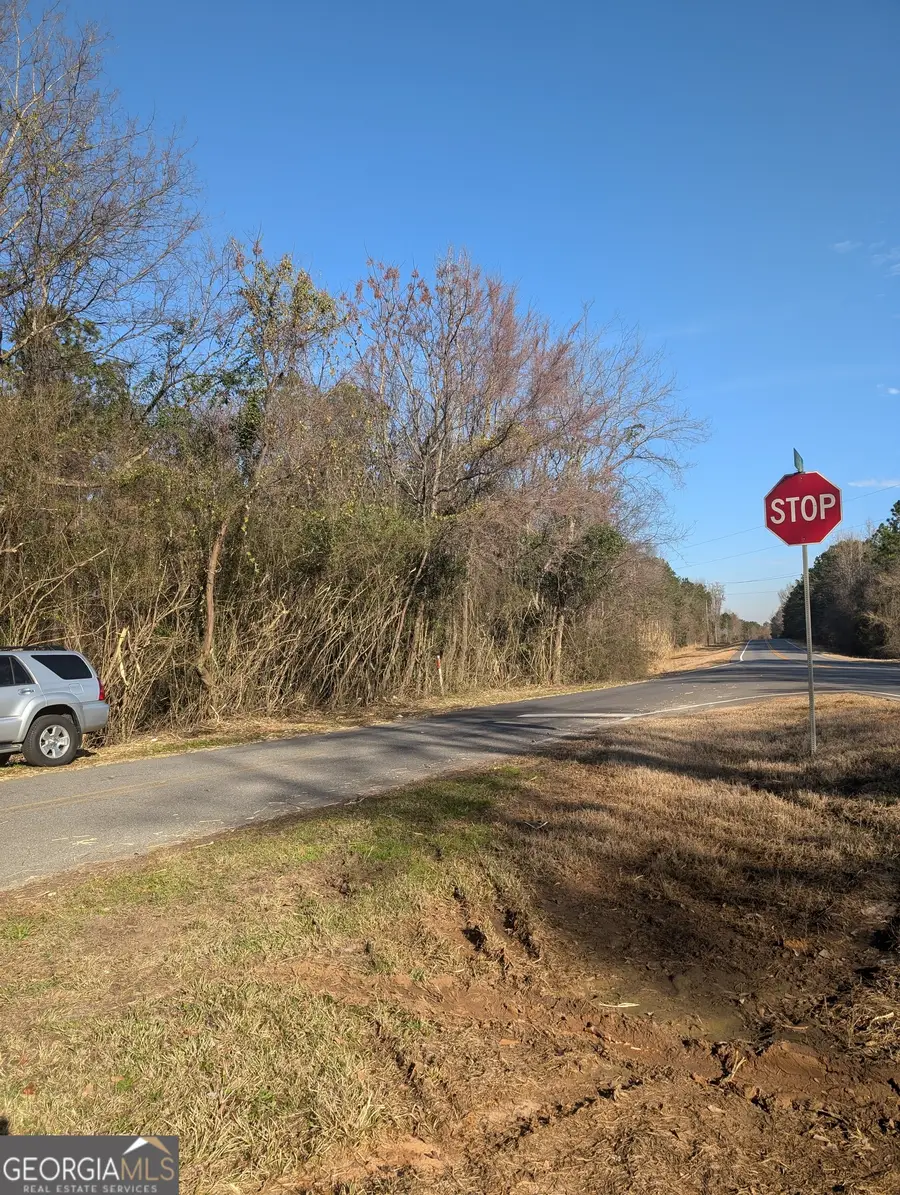 0 Parker Road, Dry Branch, GA 31020 - Image #3