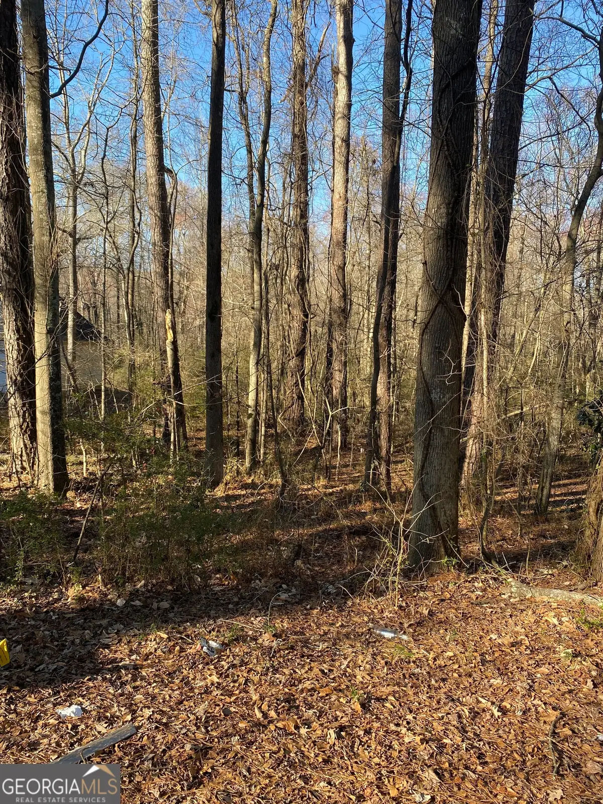 0 Valley Drive #LOT 12, Stockbridge, GA 30281 - Image #1