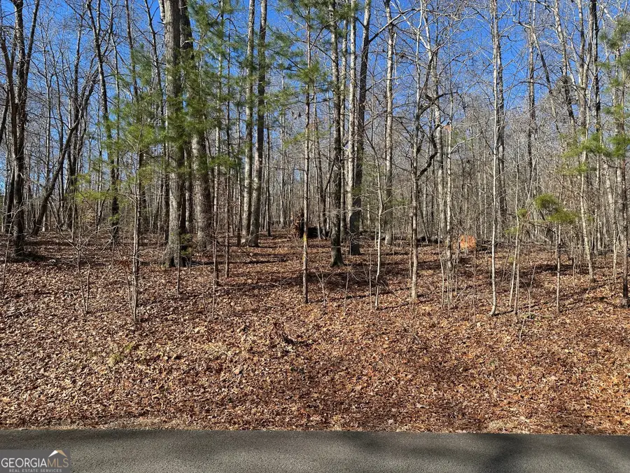 275 Shore Crest Drive, Martin, GA 30557 - Image #2