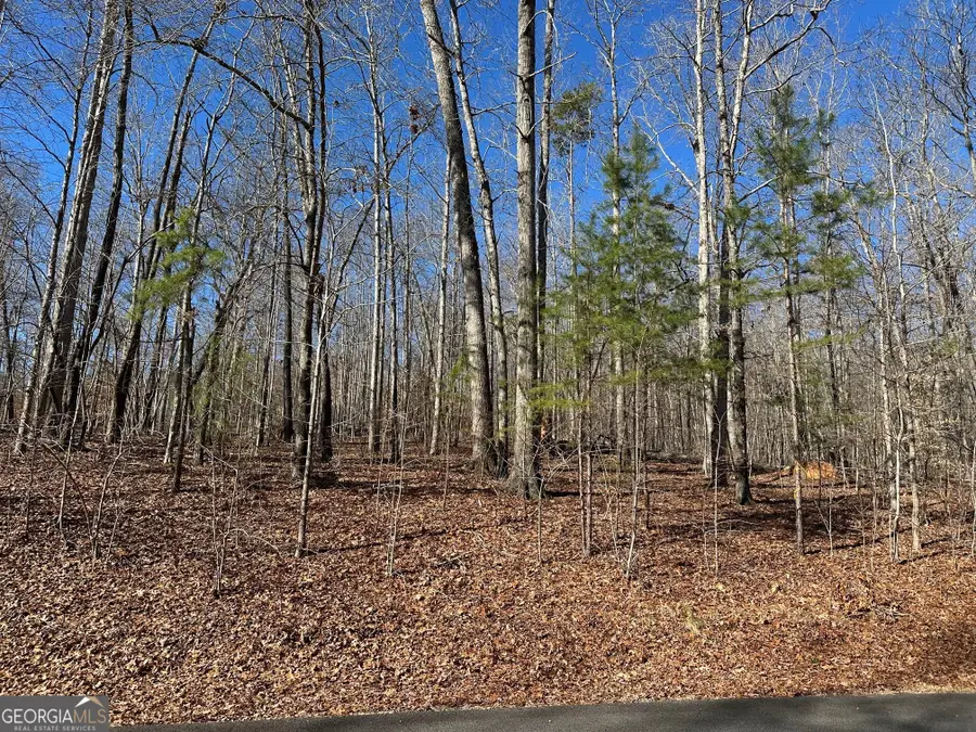 275 Shore Crest Drive, Martin, GA 30557 - Image #3