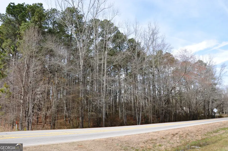 0 Monroe Hwy, Bethlehem, GA 30620 - Image #2